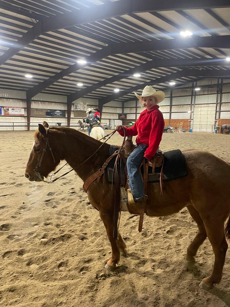Clark Ranch Quarter Horses