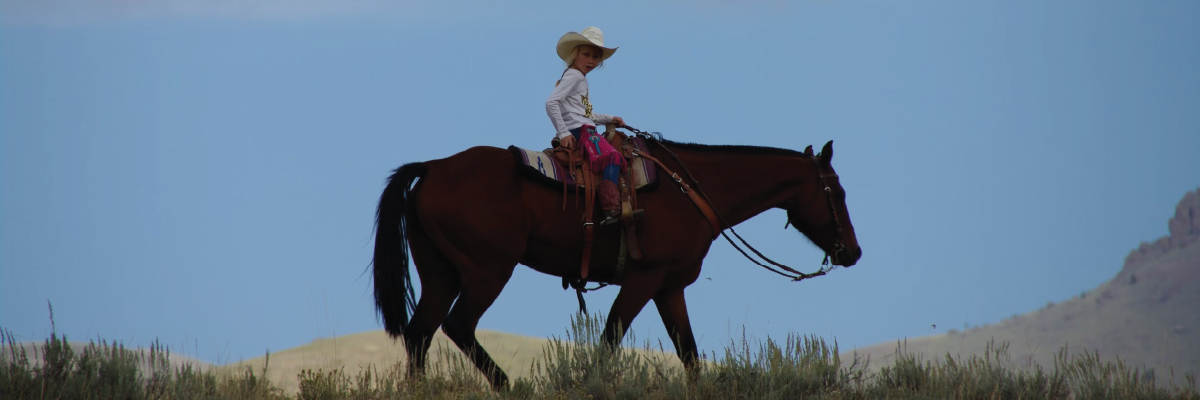 Clark Ranch Quarter Horses